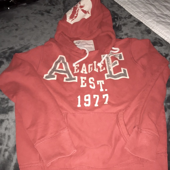 American eagle - Picture 4 of 4